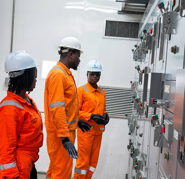 Renewable Energy Integration